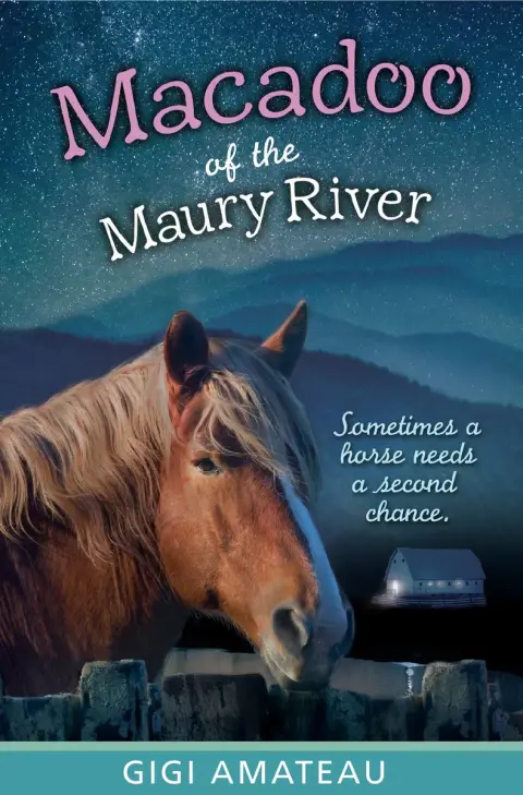 Cover of Macadoo
