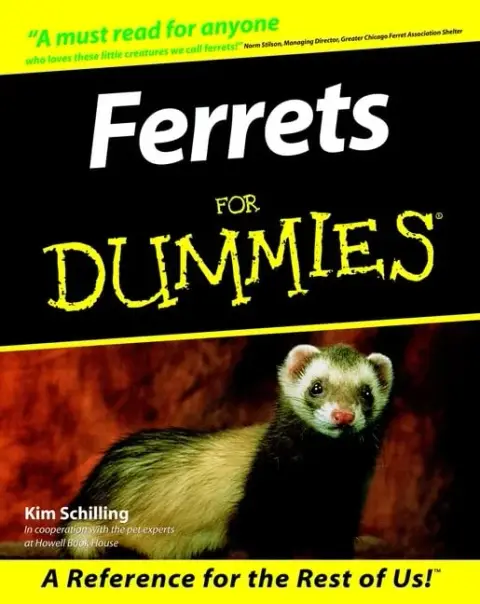 Cover of Ferrets for Dummies®