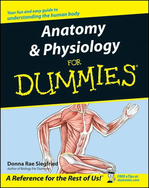 Cover of Anatomy & Physiology for Dummies