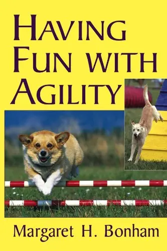 Cover of Having Fun with Agility