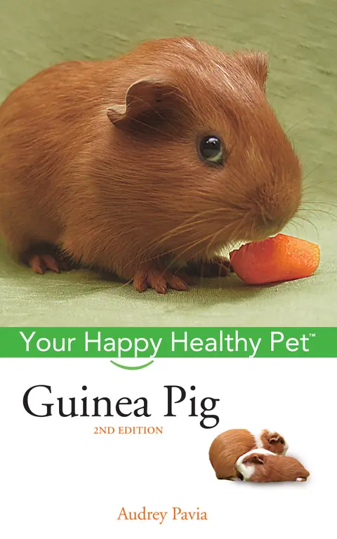 Cover of Guinea Pig