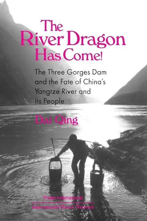 Cover of The River Dragon Has Come!