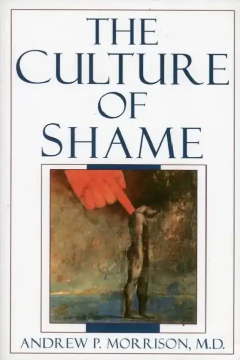 Cover of The Culture of Shame