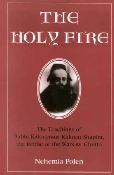 Cover of Holy Fire