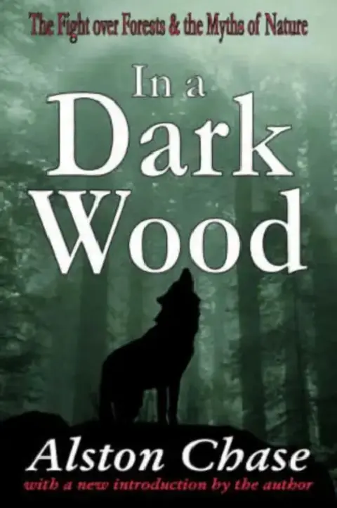 Cover of In a Dark Wood