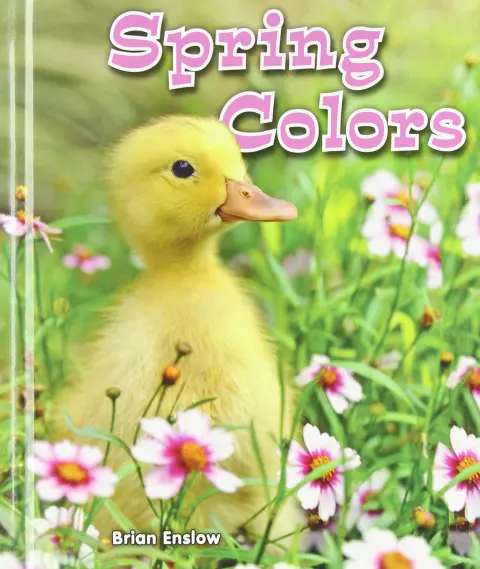 Cover of Spring Colors