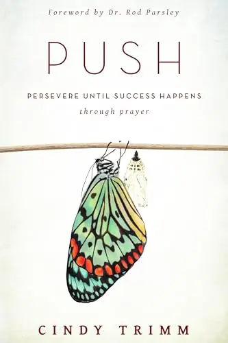 Cover of Push