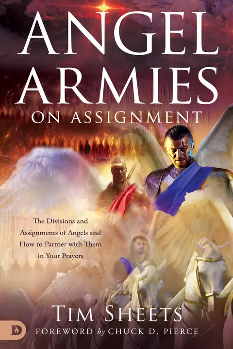 Cover of Angel Armies on Assignment