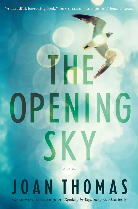 Cover of The Opening Sky