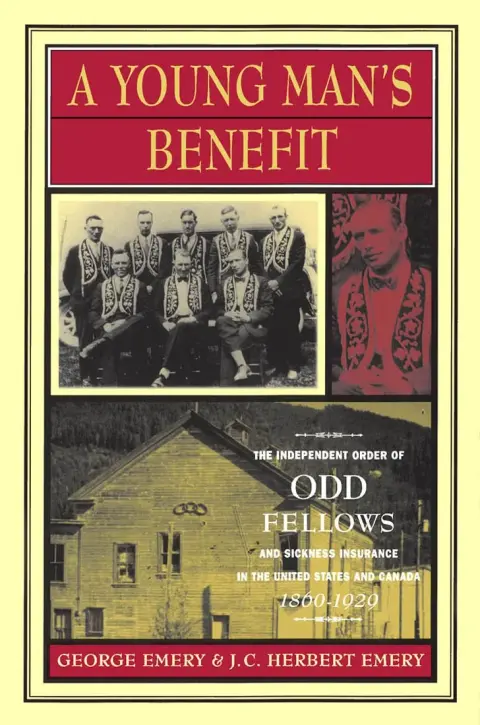 Cover of A Young Man's Benefit