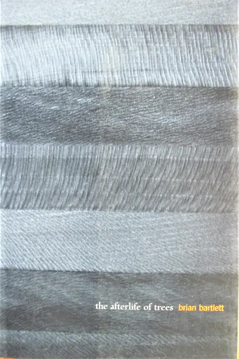 Cover of The Afterlife of Trees