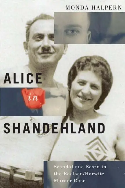 Cover of Alice in Shandehland