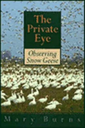 Cover of The Private Eye