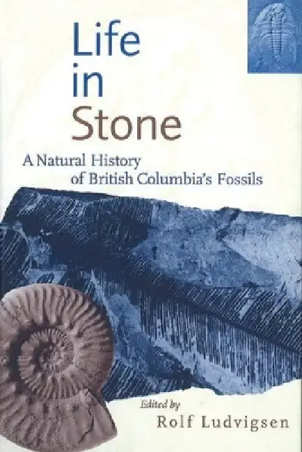 Cover of Life in Stone