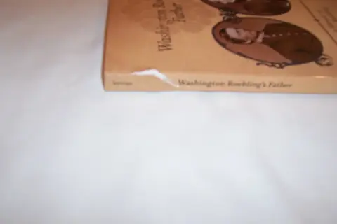 Cover of Washington Roebling's Father