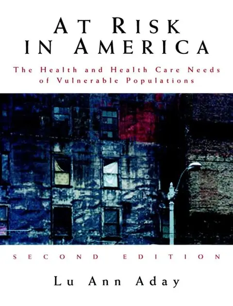 Cover of At Risk in America
