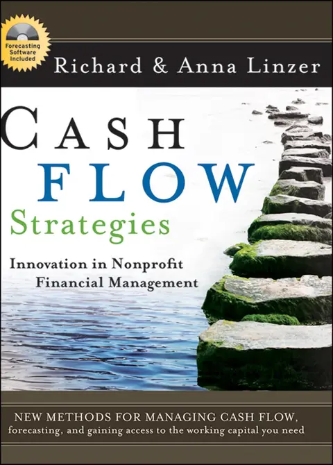 Cover of Cash Flow Strategies