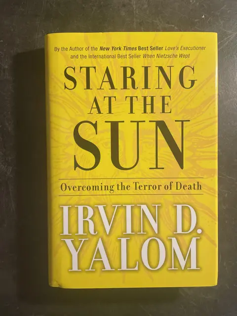 Cover of Staring at the Sun