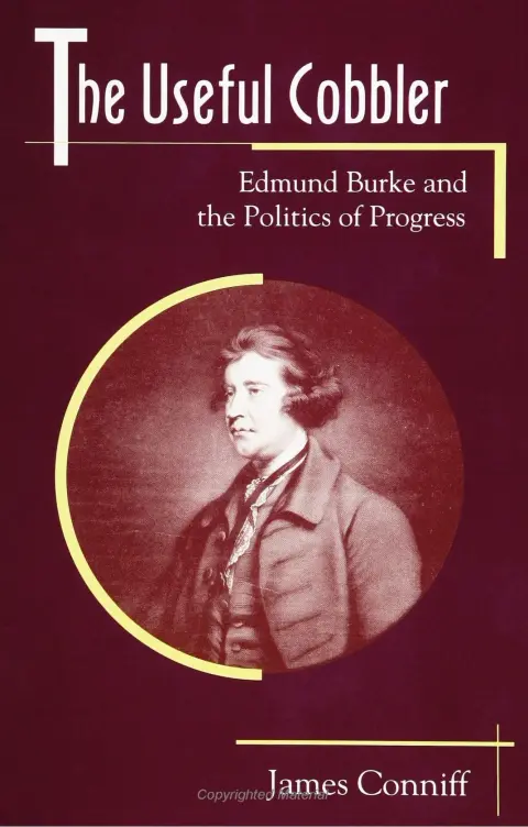 Cover of The Useful Cobbler