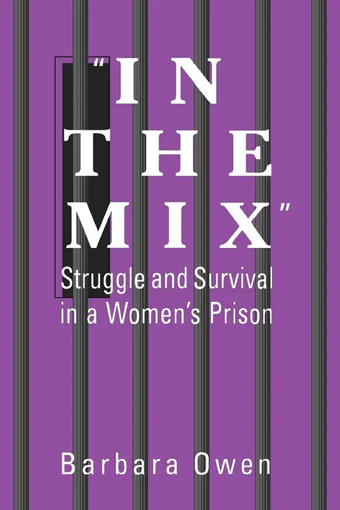 Cover of In the Mix