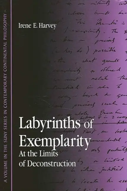 Cover of Labyrinths of Exemplarity