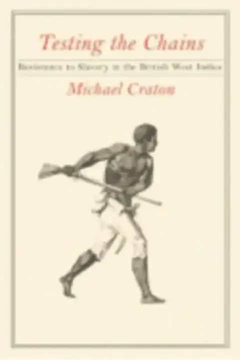 Cover of Testing the Chains