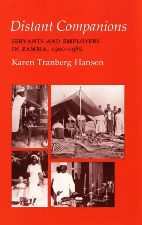 Cover of Distant Companions