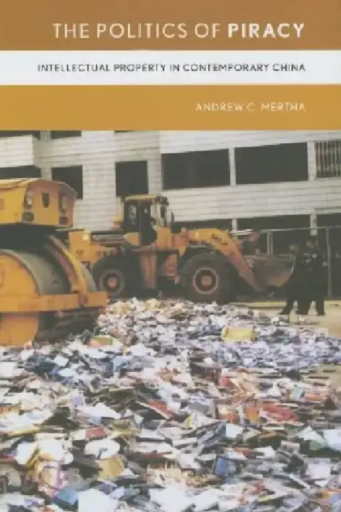 Cover of The Politics of Piracy