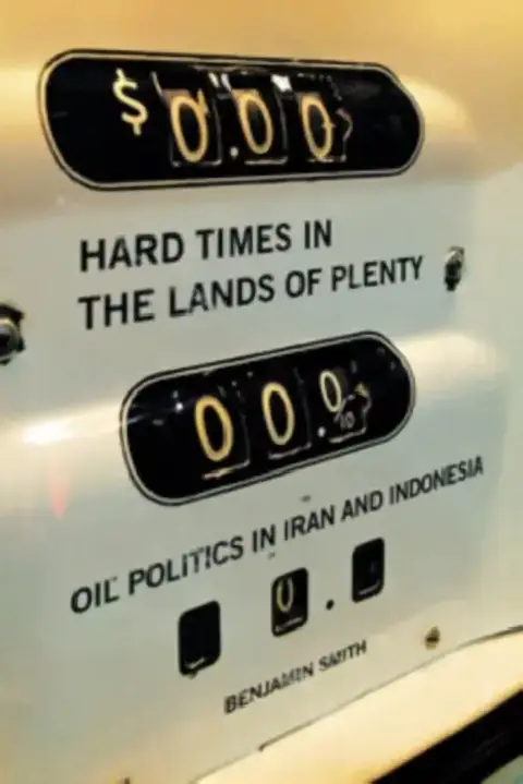Cover of Hard Times in the Lands of Plenty