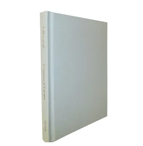Cover of A Measure of Fairness