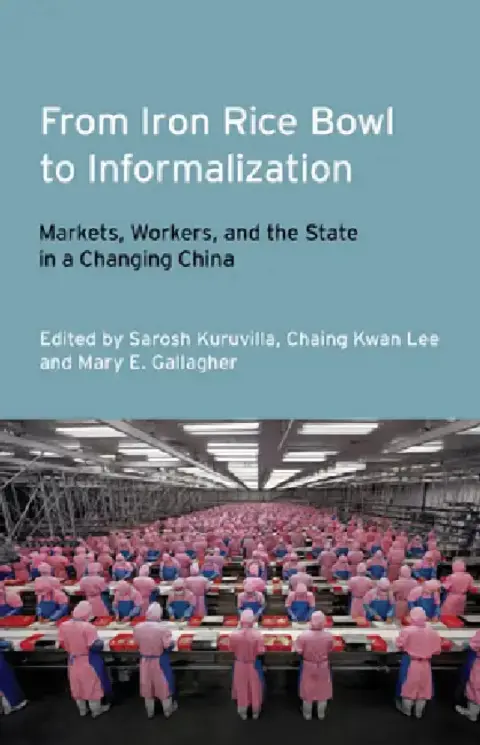 Cover of From Iron Rice Bowl to Informalization