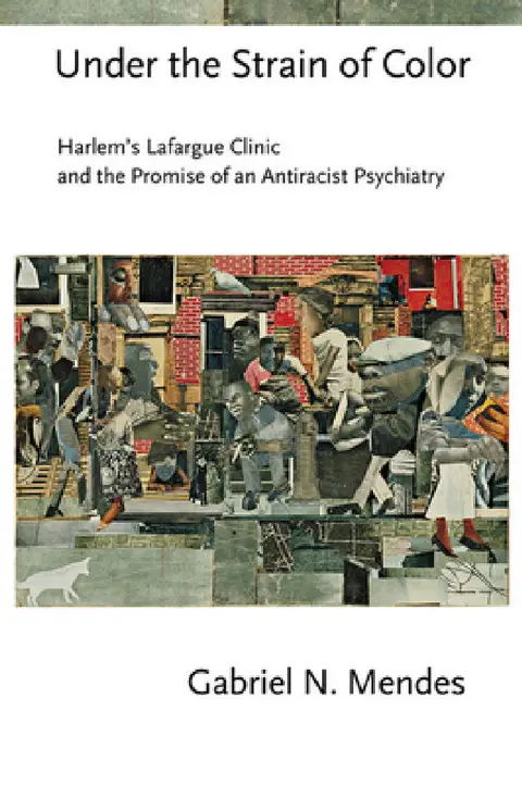 Cover of Under the Strain of Color