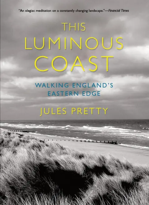 Cover of This Luminous Coast
