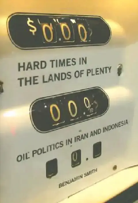 Cover of Hard Times in the Lands of Plenty