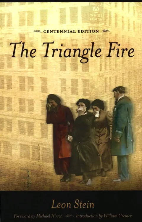 Cover of The Triangle Fire