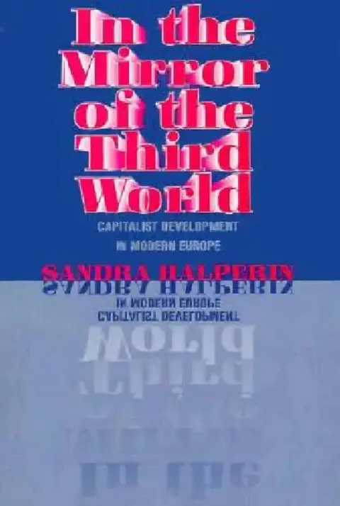 Cover of In the Mirror of the Third World
