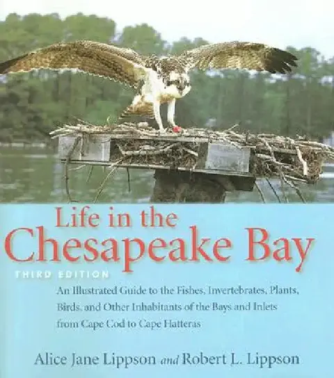 Cover of Life in the Chesapeake Bay
