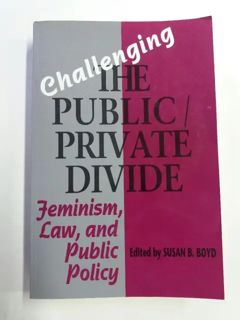 Cover of Challenging the Public/Private Divide