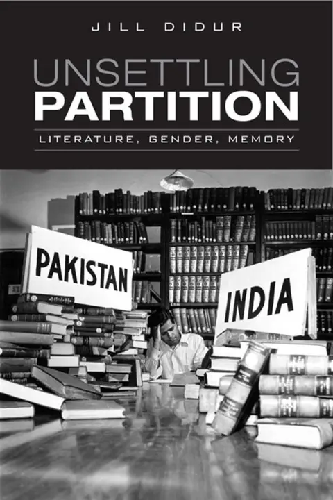 Cover of Unsettling Partition