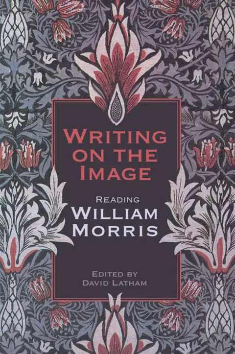 Cover of Writing on the Image