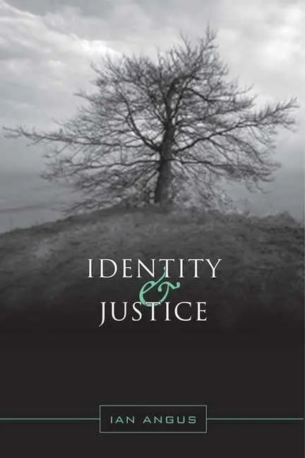 Cover of Identity and Justice