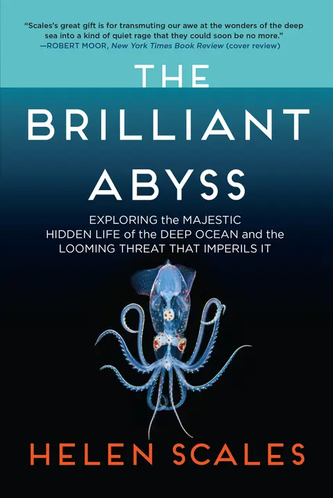Cover of The Brilliant Abyss
