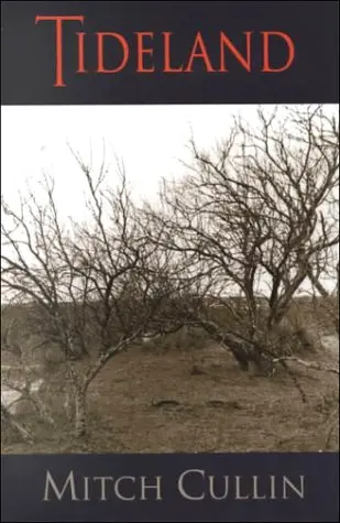 Cover of Tideland