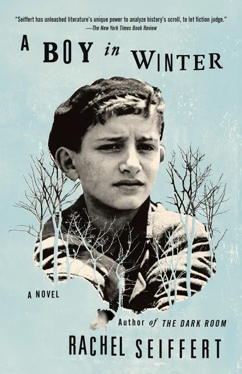 Cover of A Boy in Winter