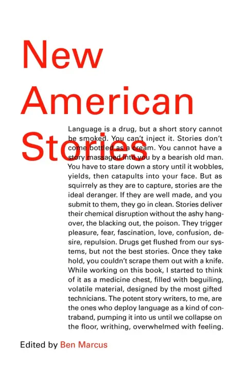 Cover of New American Stories