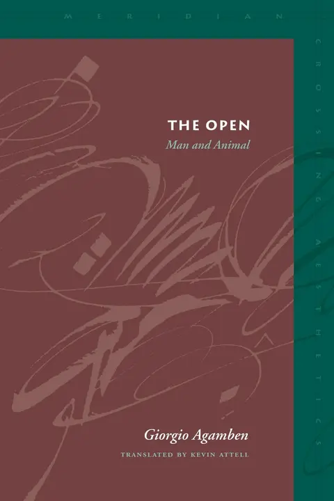 Cover of The Open