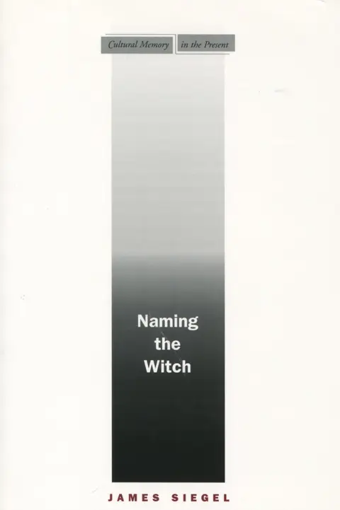 Cover of Naming the Witch