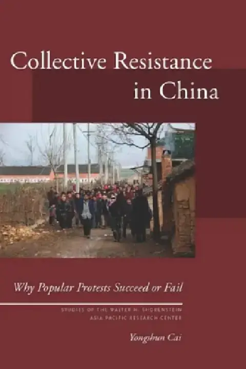 Cover of Collective Resistance in China