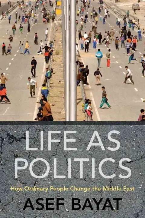Cover of Life as Politics