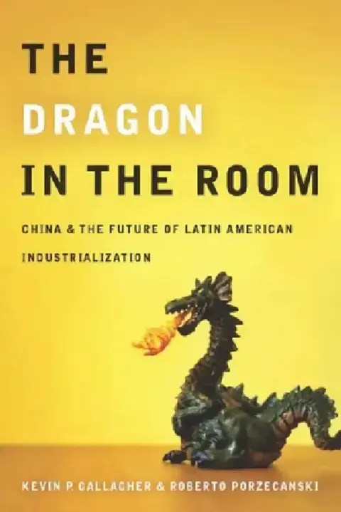 Cover of The Dragon in the Room